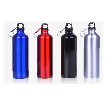 Carabiner Aluminum Sport Bottle
