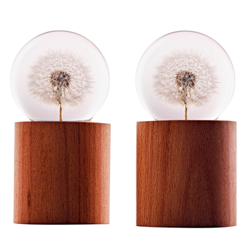 Dandelion Music Box