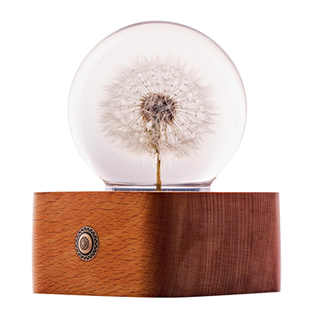 Dandelion Night-Light