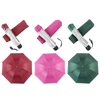Automotive Umbrella
