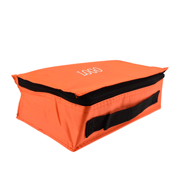 Cooler Bag