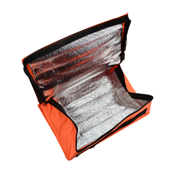 Cooler Bag
