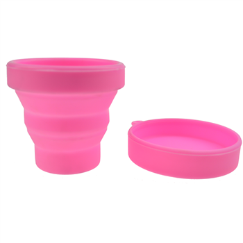 Collapsible TPE Pet Bowl with Lid