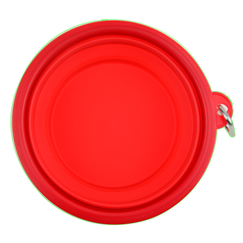 Big  Collapsible TPE  Pet Bowl with Carabiner 