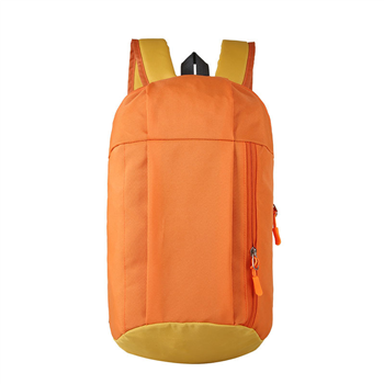 Travel Backpack
