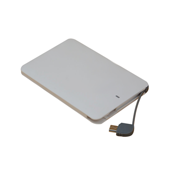 Ultrathin Polymer Power Bank