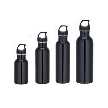 Sports Stainless Steel Bottle