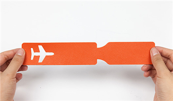 Airplane Luggage Tag