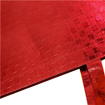 Non-woven Shopping Bag