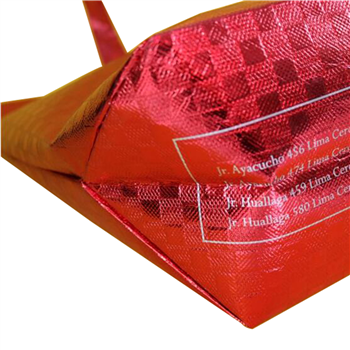Non-woven Shopping Bag