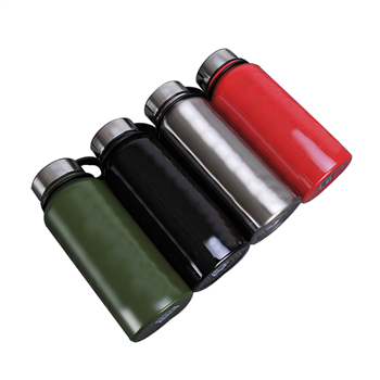 Double Wall SS Water Bottle