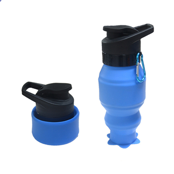 18oz Foldable Silicone Bottle