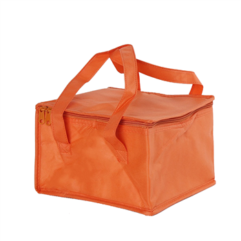 Cooler Bag