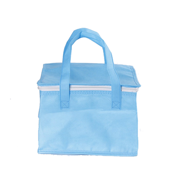 Cooler Bag