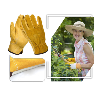 Safety Gloves