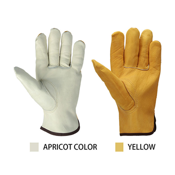 Safety Gloves