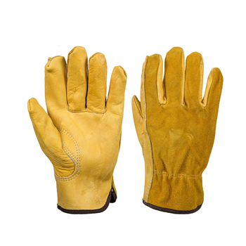 Safety Gloves