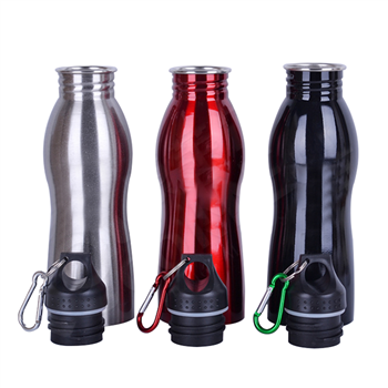 Aluminum Water Bottle with Carabiner