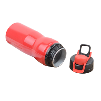 Water Bottle with Handle