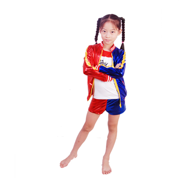 Cosplay Costume