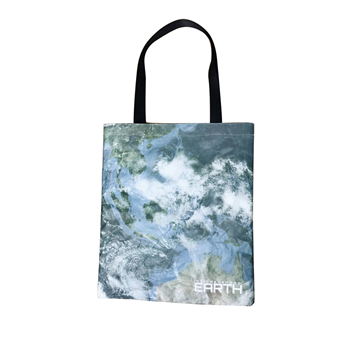 Tyvek Tote
