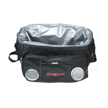 Cooler Bag with Speakers