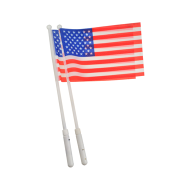 LED Light up Flag