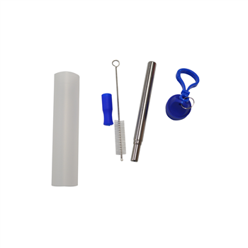 Foldable Straw Set With Brush