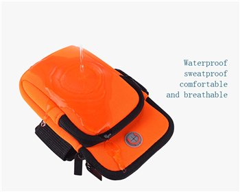 Sports Arm Bag