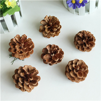 Pine cones