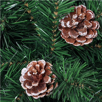 Pine cones