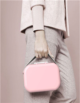 Bag Shape Plactic Lunch Box