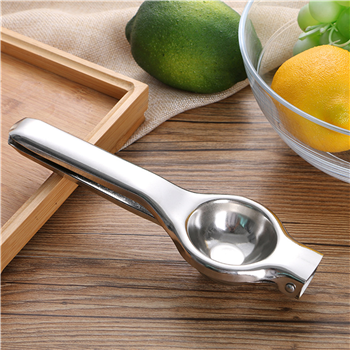 Stainless Steel Juice Squeezer