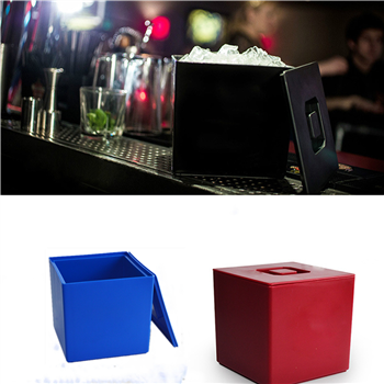 Double Plastic Ice Bucket