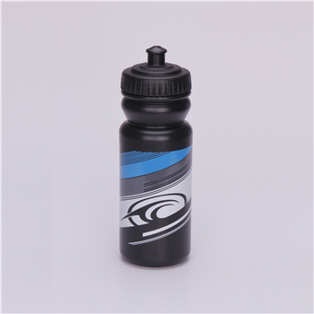 Sport Bottle with Push Pull Lid