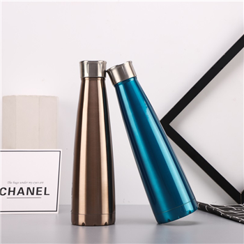 16 oz. Vacuum Insulated Stainless Steel Water Bottle