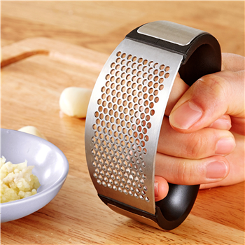 Stainless Steel Garlic Press Crusher