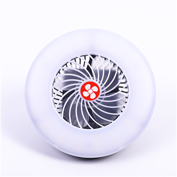 2 IN 1 LED Ceiling Fan with Emergency Light