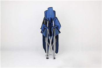 Folding Beach Chairs With Canopy