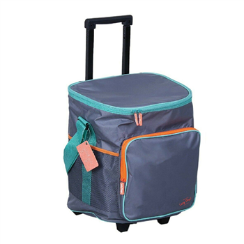 Foldable Trolley Rolling Cooler Bag