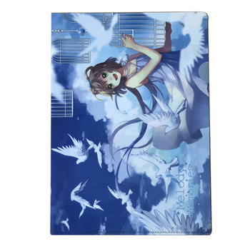 Plastic Pocket Folder