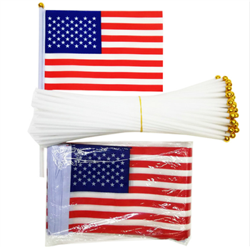American Independence Day Hand Flag