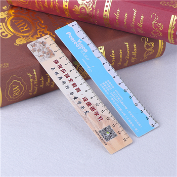 12" PVC Ruler