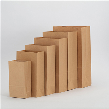 Kraft Paper Bag