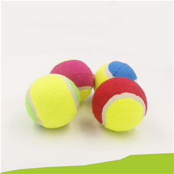 Dog Tennis Ball