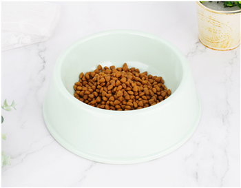 Pet Bowl