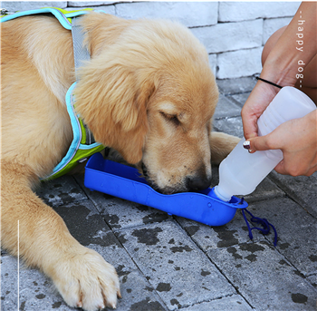 Pet Water Bottle