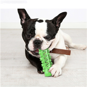 Pet Molar Stick