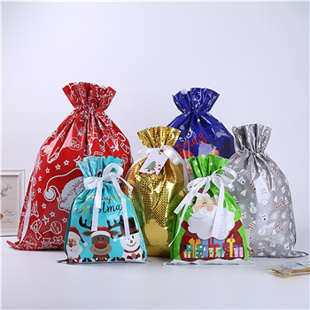 Christmas Packaging Bag