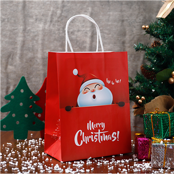 Christmas Hand Carrying Paper Bag